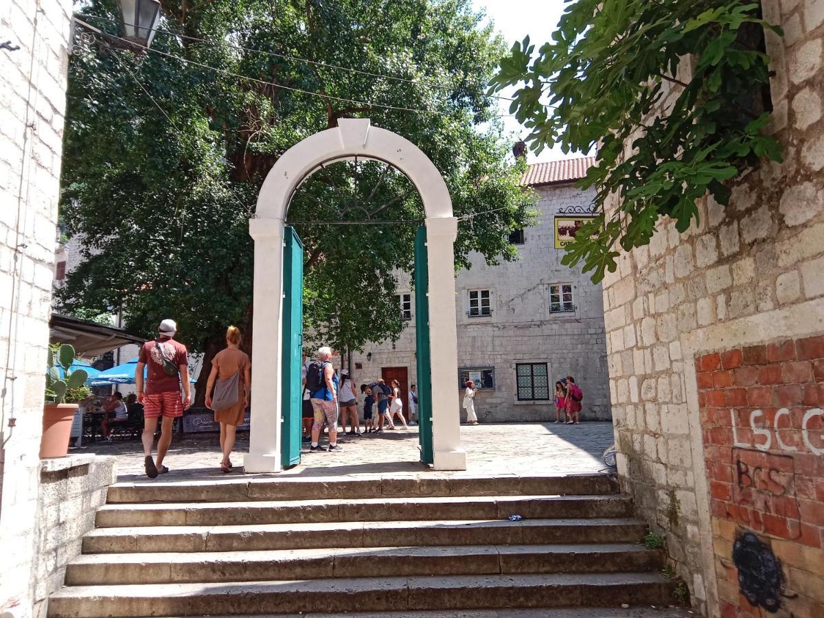Centar Starog Grada Apartman Kotor Kültér fotó