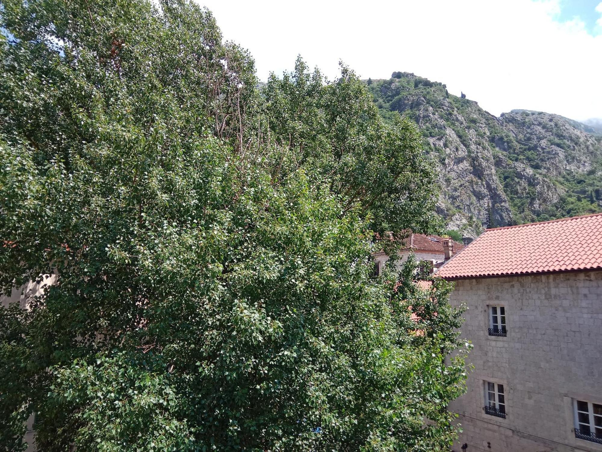 Centar Starog Grada Apartman Kotor Kültér fotó