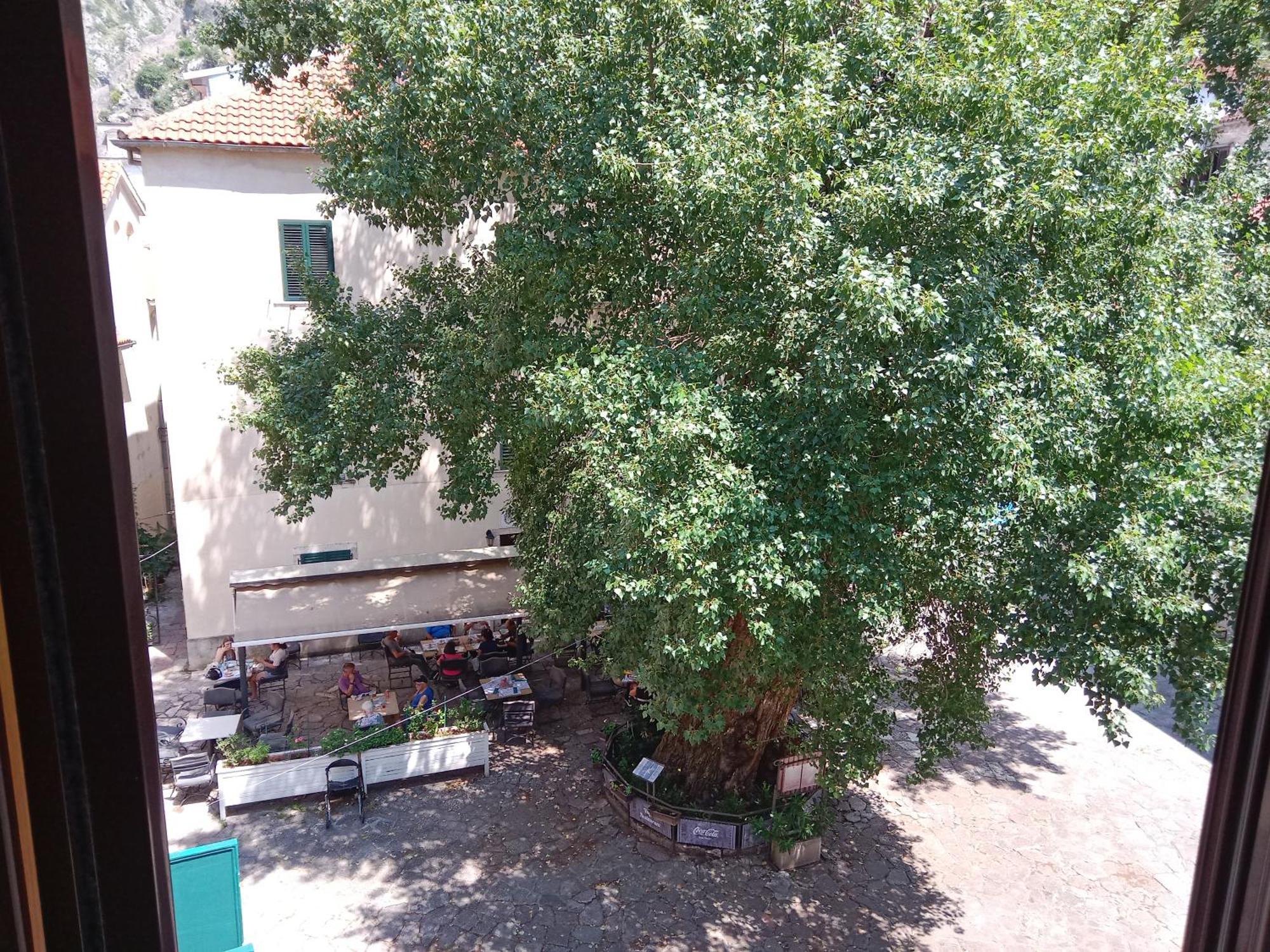 Centar Starog Grada Apartman Kotor Kültér fotó